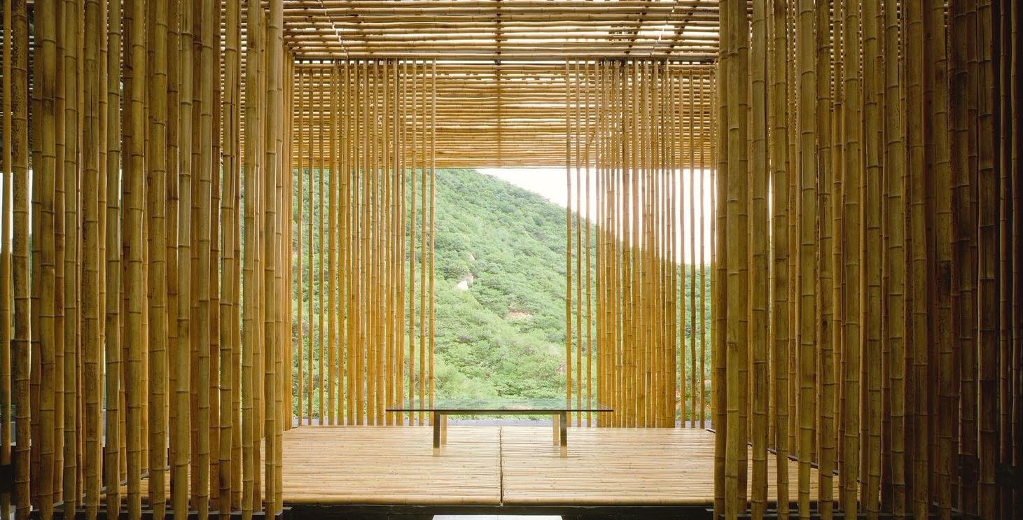 bamboo building nicaragua