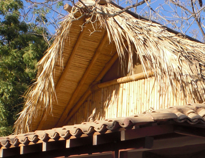 bamboo building nicaragua
