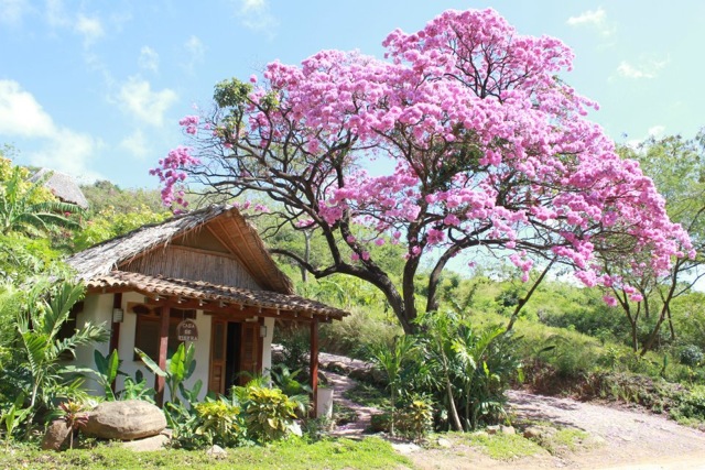 earthbag building