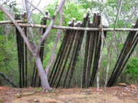 Bamboo Building Nicaragua