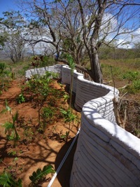 Earthen Oven Nicaragua